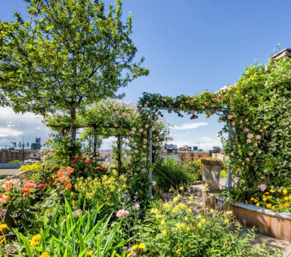 Rooftop-gardens.jpg