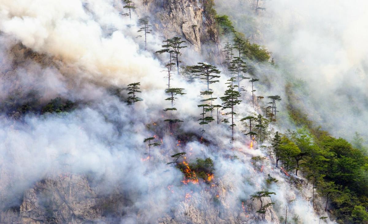 Aerosols in wildfire smoke can affect the climate for days