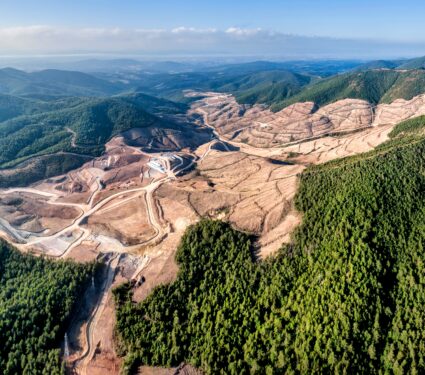 Deforestation2.jpg