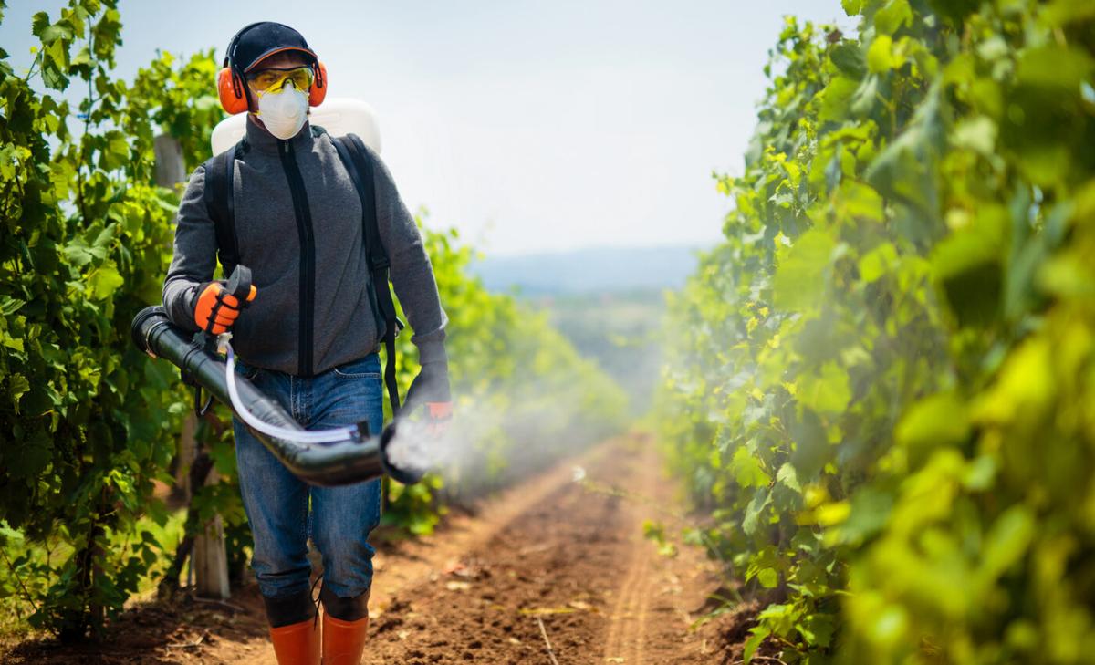 Scientists develop new tool to design safer pesticides