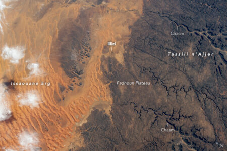 2022/04/iss064e011821.jpg