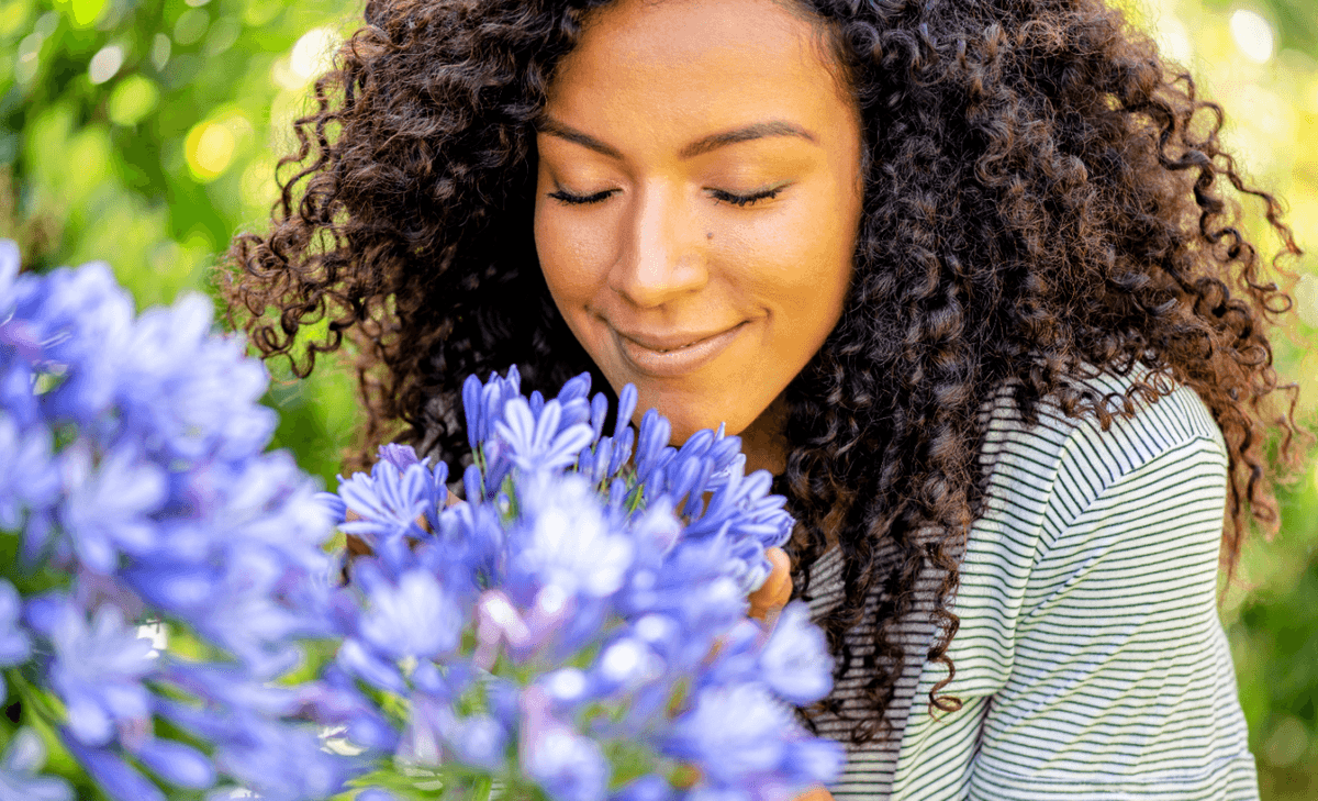 The brain processes smells like a painting or a symphony
