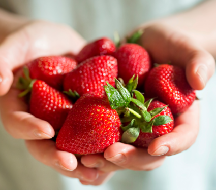 2022/04/Fruit.png