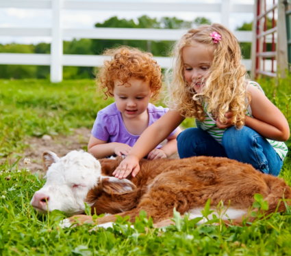 2022/04/Farm-animals.png