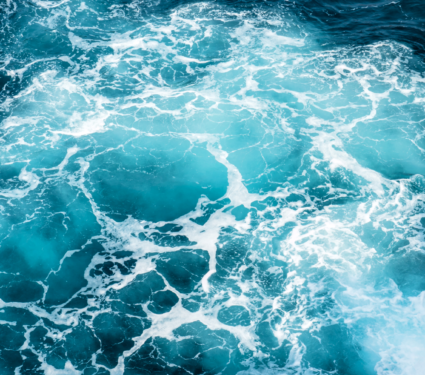 2022/04/Ocean-acidification.png