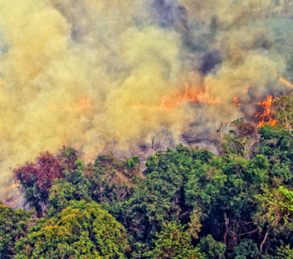 2022/04/Amazon-deforestation.png