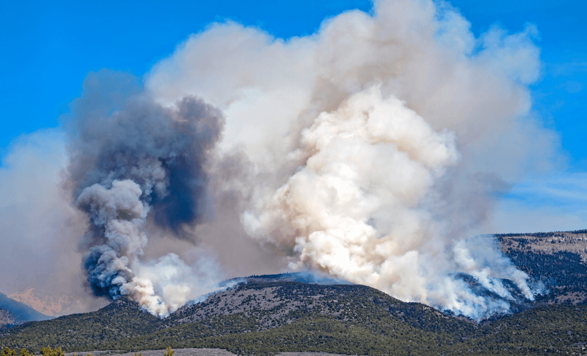 Fires in the Pacific Northwest have altered air pollution patterns
