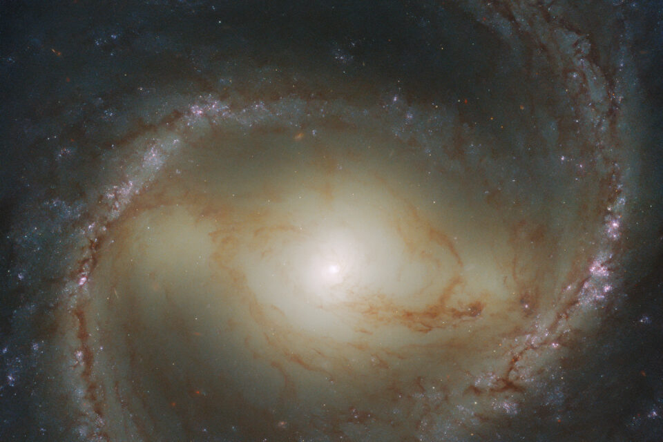 Spiral galaxy M91 in the constellation Coma Berenices