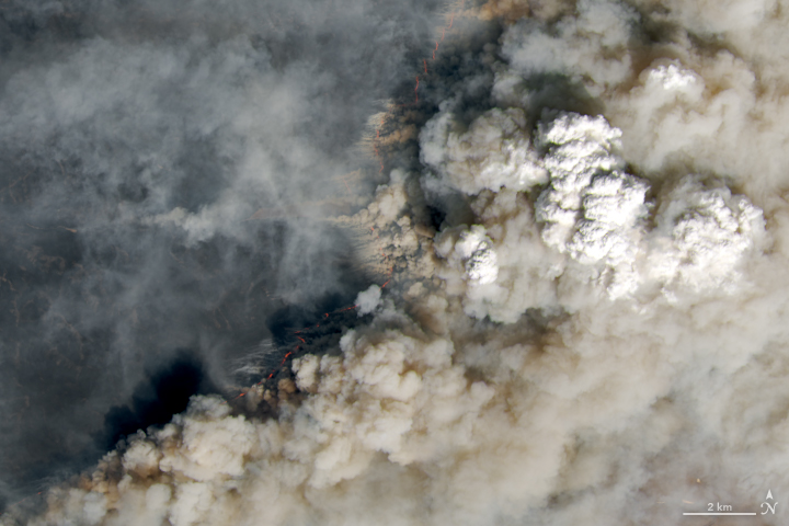 Steppe fires in eastern Mongolia