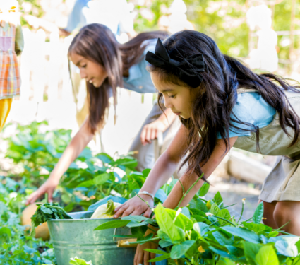 2022/04/School-gardening.png