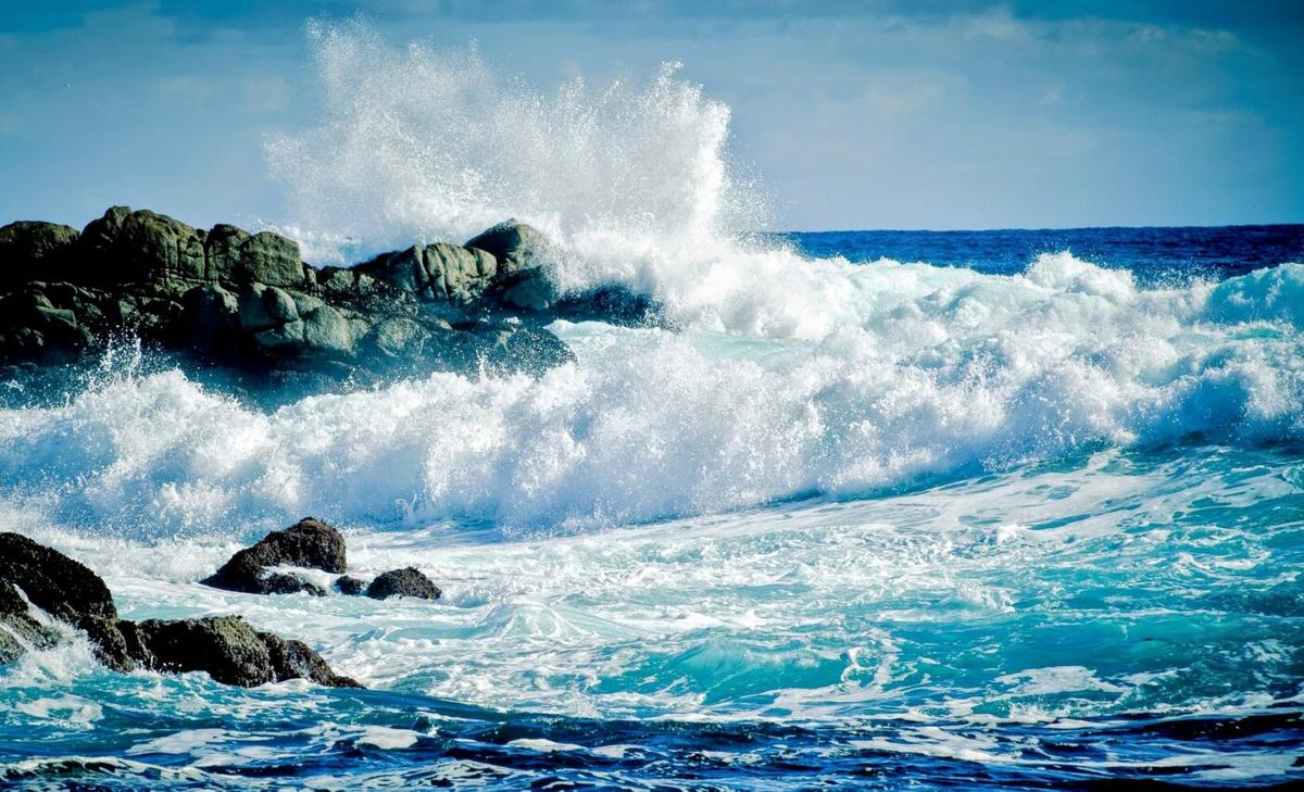 Pathogens can stick to microplastics and hitchhike to the sea