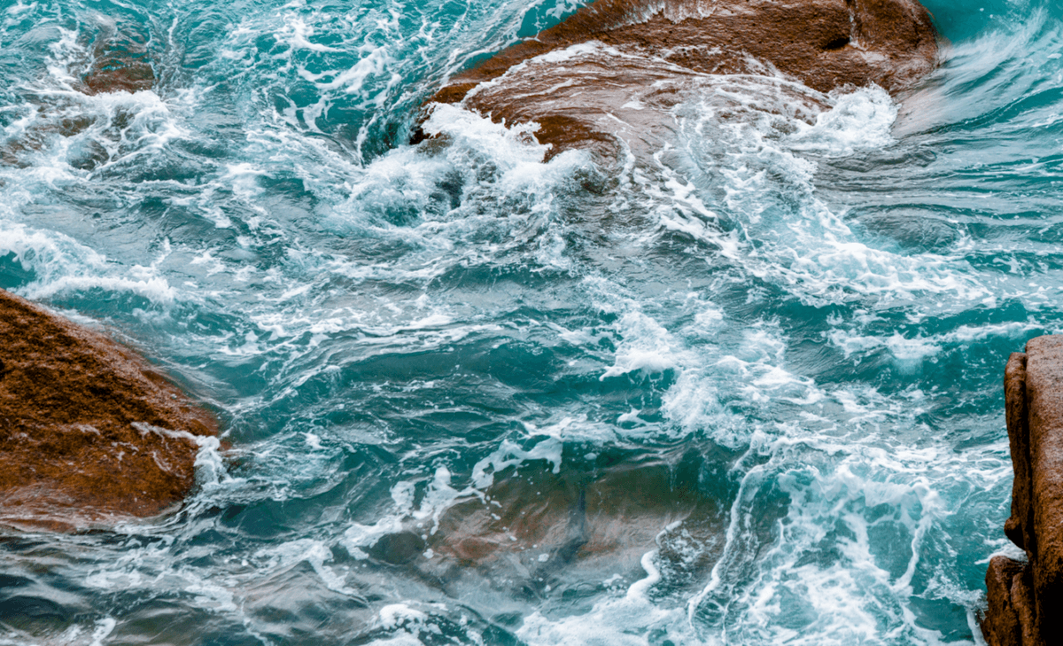 Study reveals a new ocean carbon sequestration process
