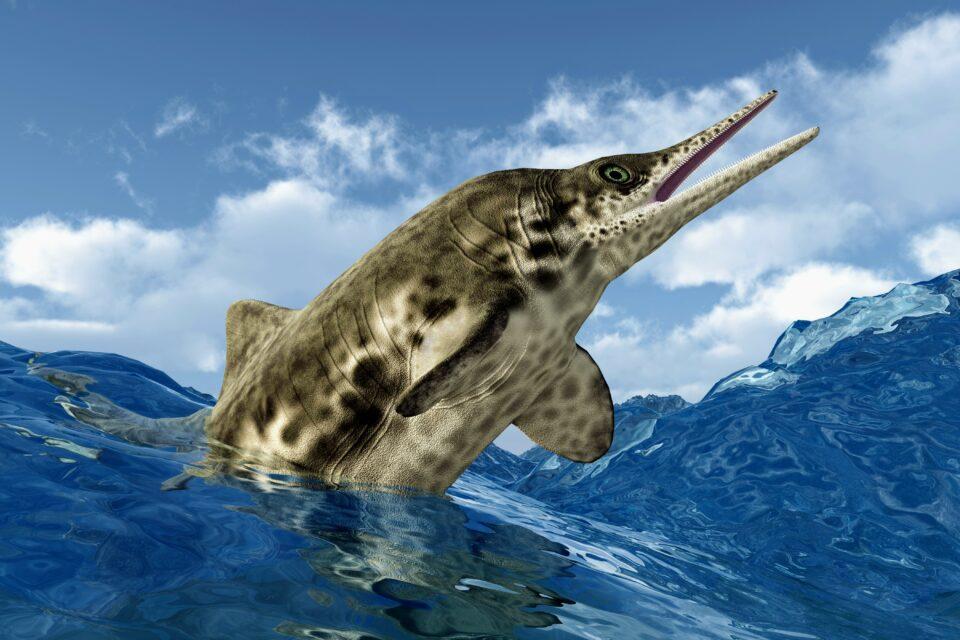 Massive marine ichthyosaur fossils found high in the Alps