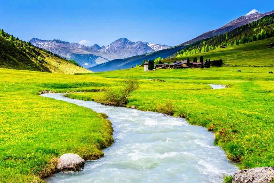 Freshwater habitats help to protect biodiversity
