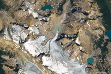 2022/05/peyto_oli_2021224.jpg
