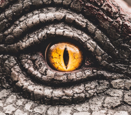 Closeup,Yellow,Eye,Of,The,Dinosaurs,With,Terrifying.,Dinosaur,Hunters