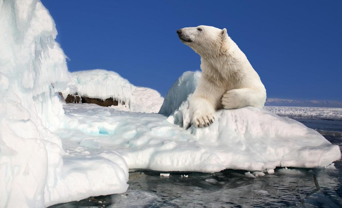 50/50 chance that global warming will soon exceed 1.5°C