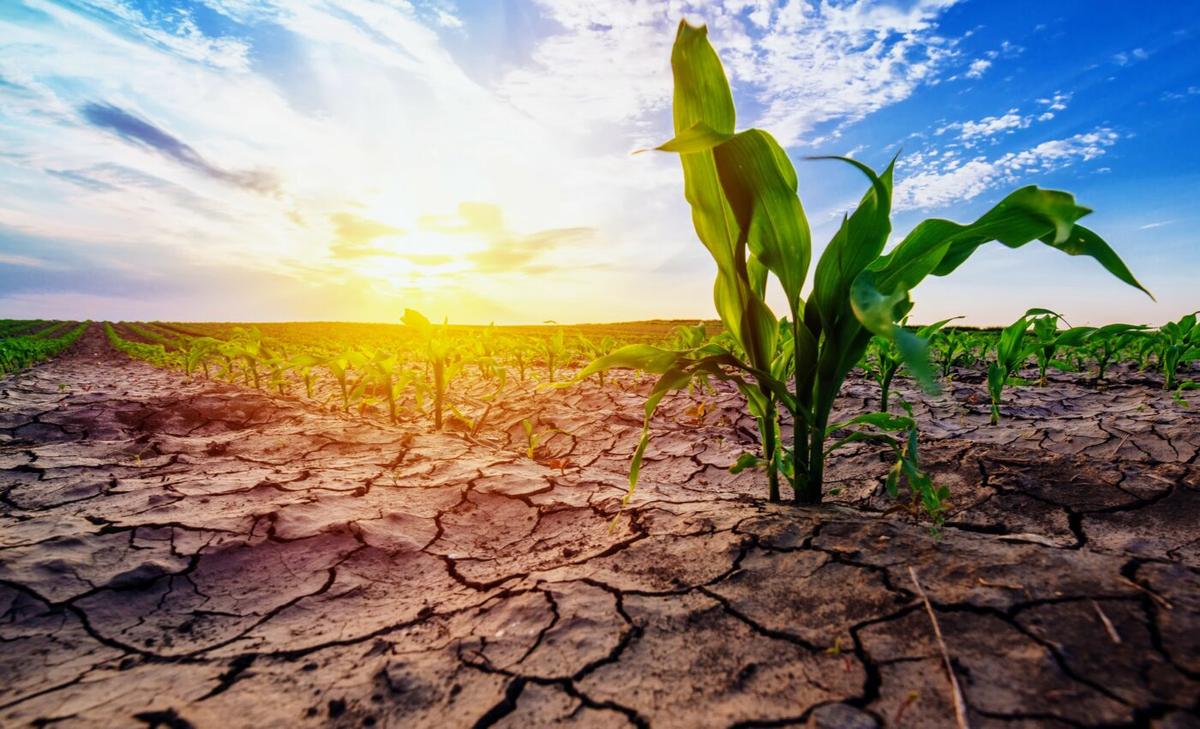 The world is at a crossroads in managing severe droughts