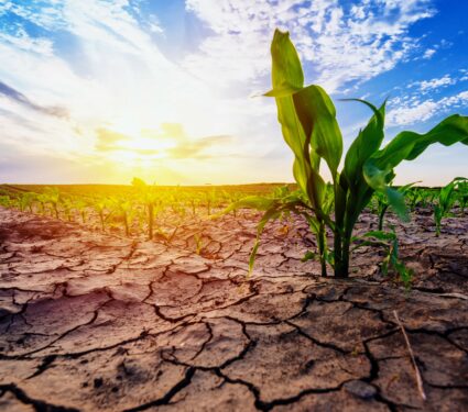 Droughts.jpg