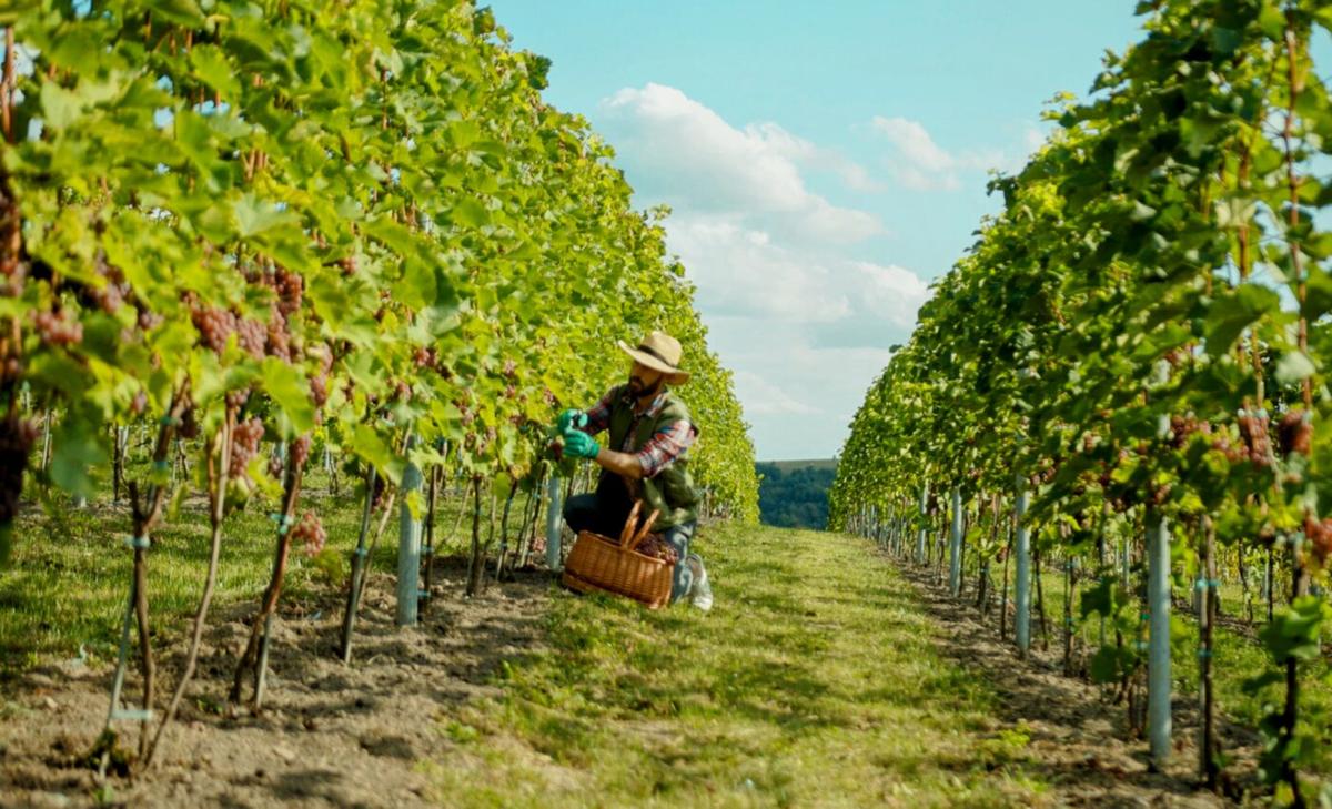 Extreme heat poses extreme risks for outdoor workers