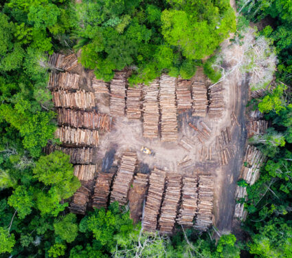 Aerial,View,Of,A,Log,Storage,Yard,From,Authorized,Logging
