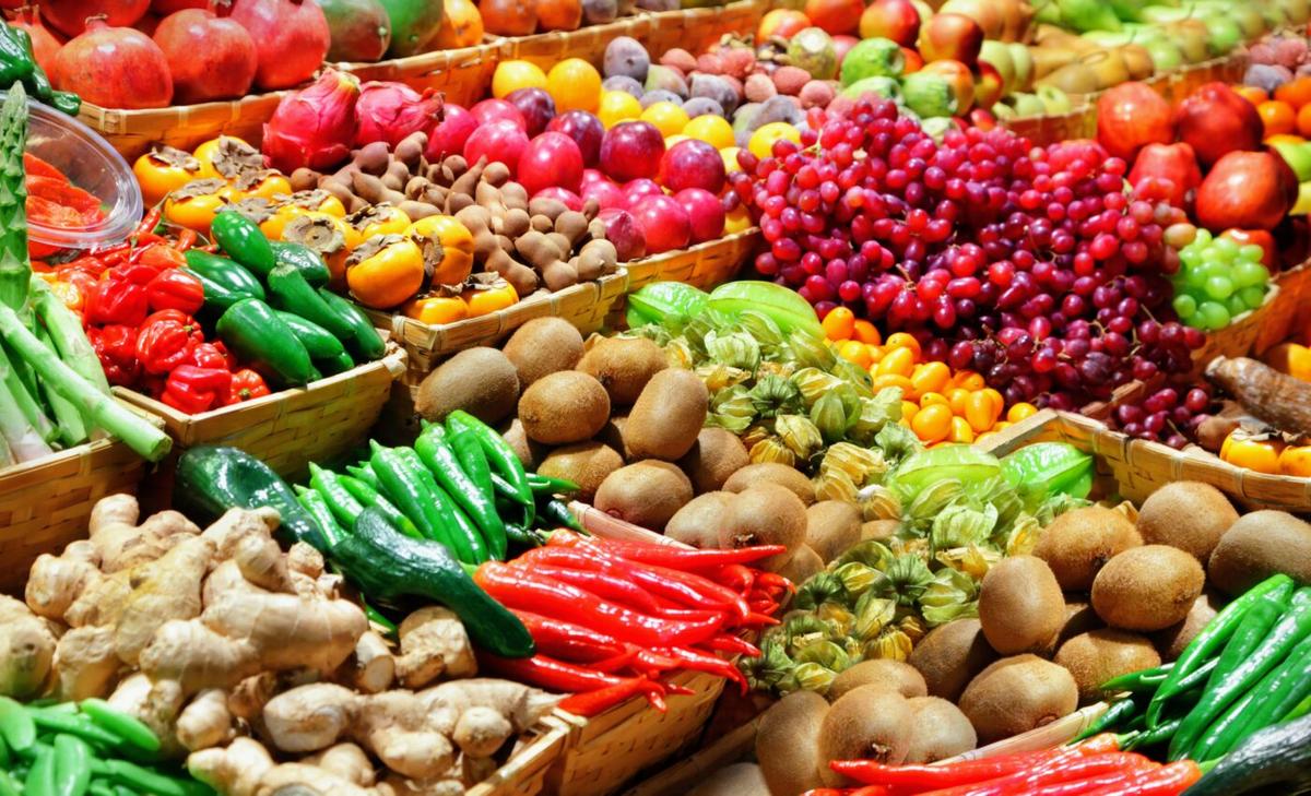Global food system is unsustainable and must be transformed