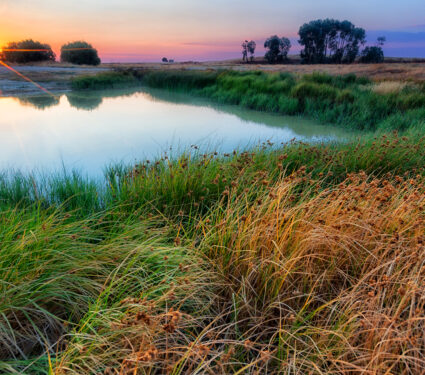 View,Of,Lagoon,And,Wetland,Habitat,,Lagunas,De,Villafafila,Rese