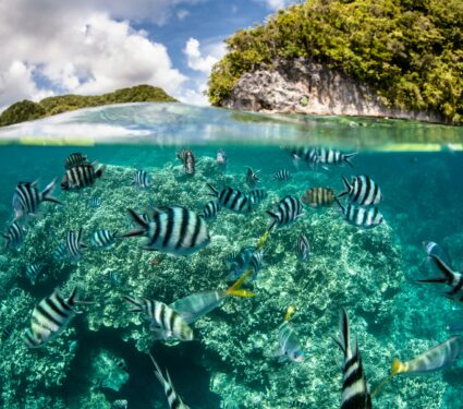 Ocean-health.jpg