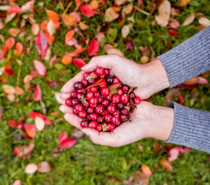 Cranberries.jpg