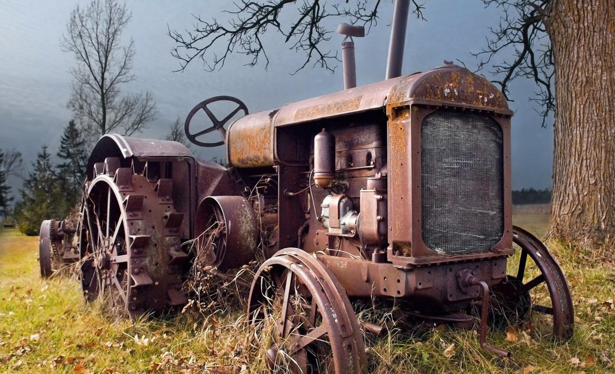 Restoring abandoned farms could help fight climate change