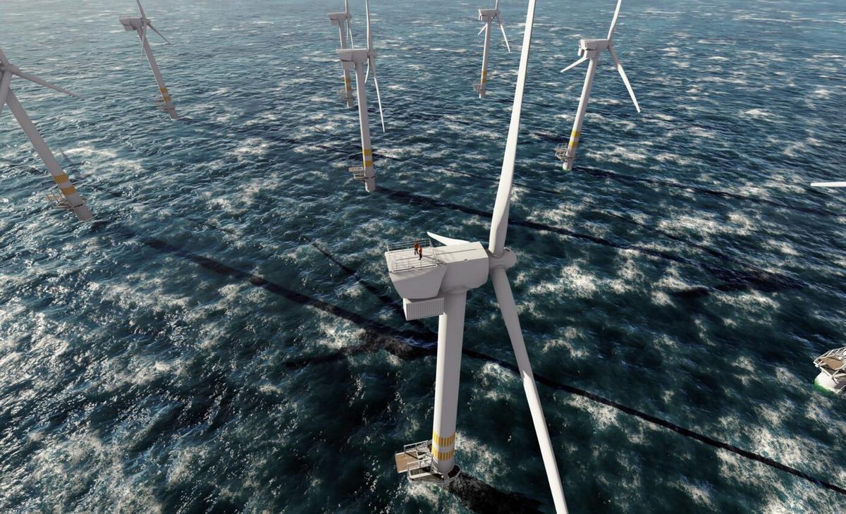 Noise from wind farms could affect marine mammal behavior