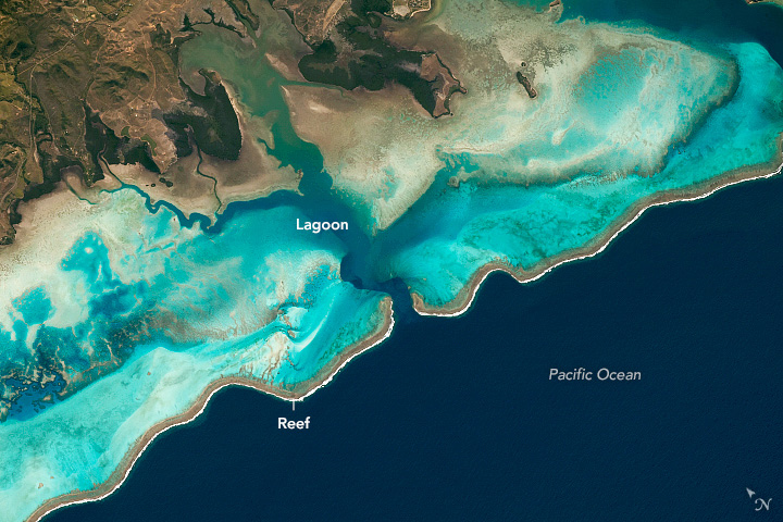 Fringing coral reef on the south coast of New Caledonia