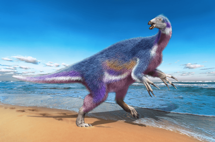 New dinosaur species distinguished by its fearsome claws