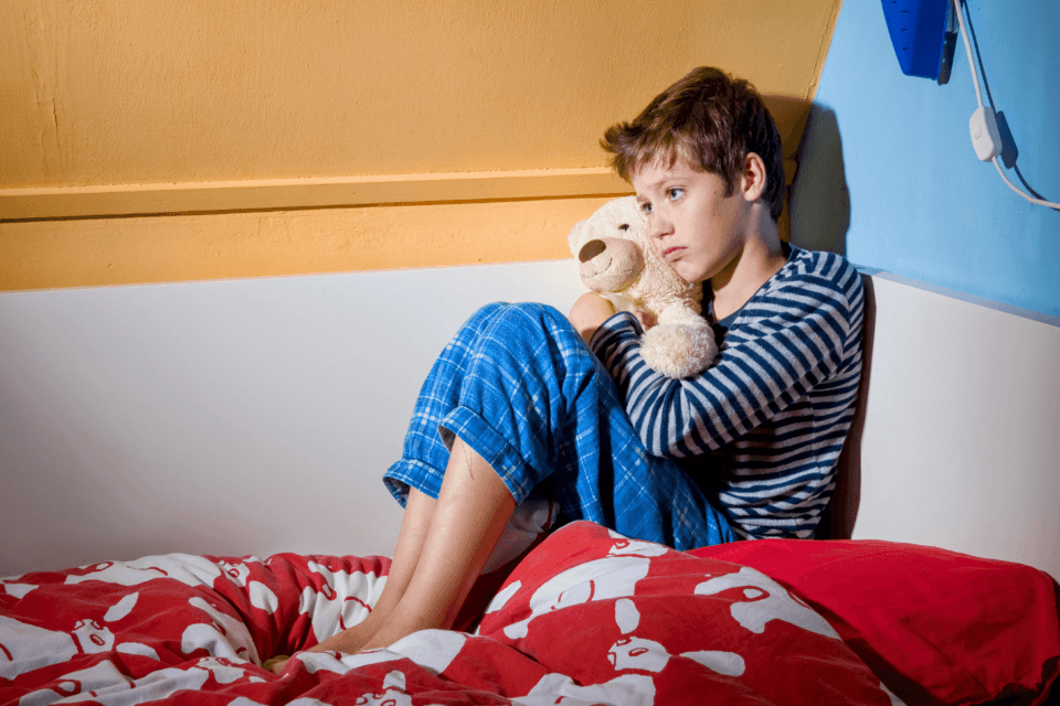 How memories of fear are seared into our brains