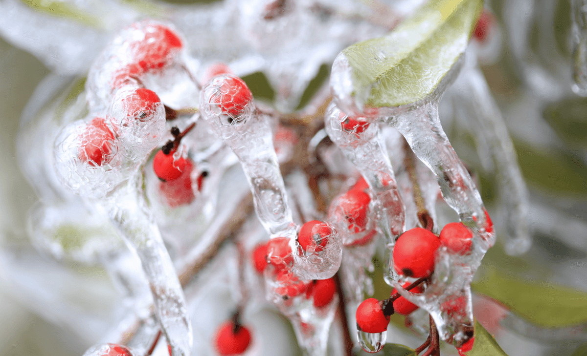 Air pollution increases freezing rain in the Northern Hemisphere