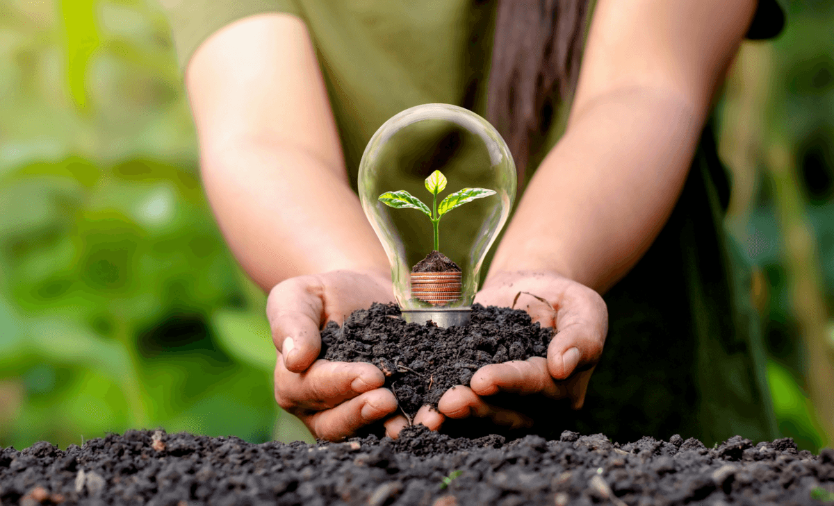 Green recovery from Covid could greatly reduce CO2 emissions