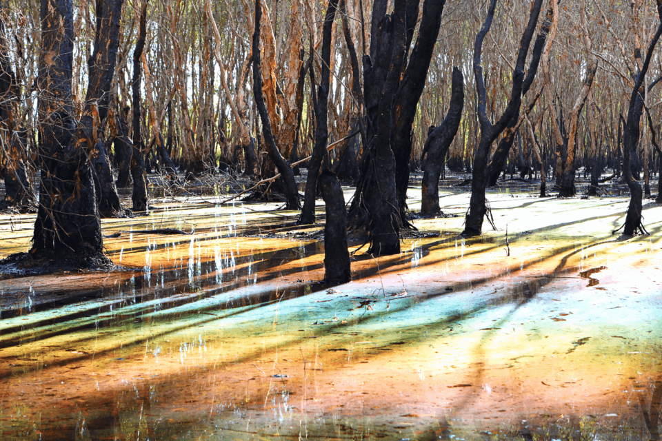 Majority of the world’s oil slicks caused by human activity