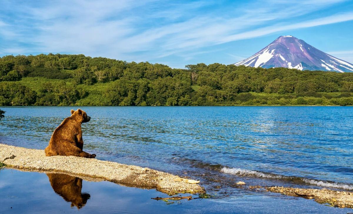 Losing wildlife will be very costly for some countries