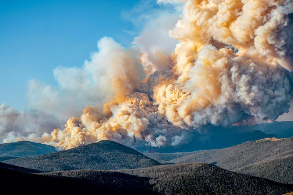Wildfires likely contributed to Earth's largest mass extinction
