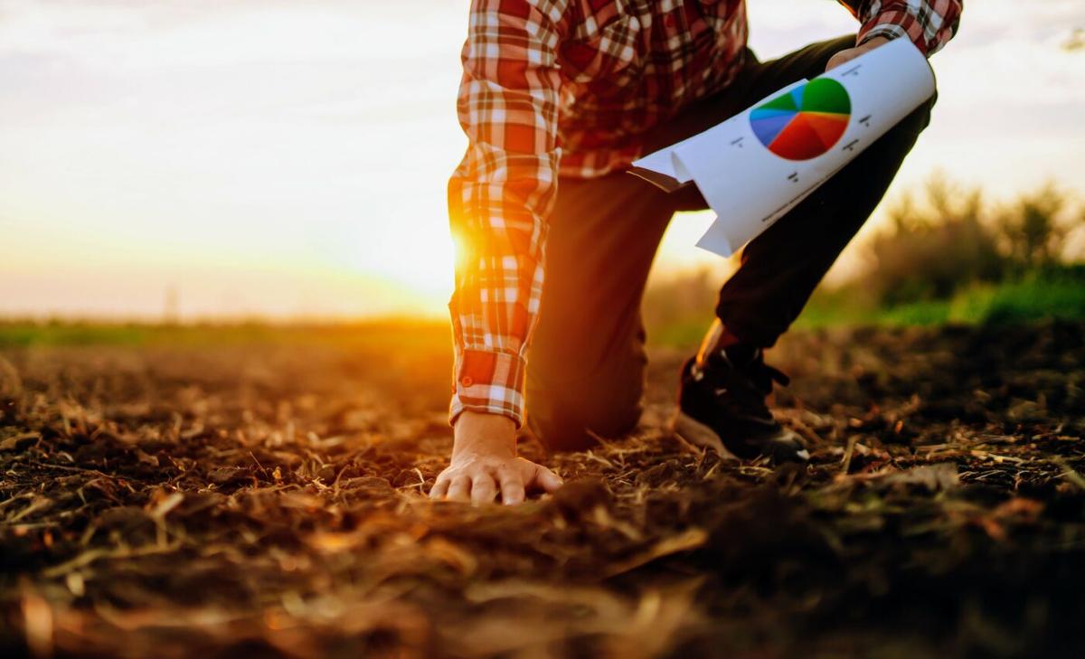 Soil pollution has been linked to heart disease