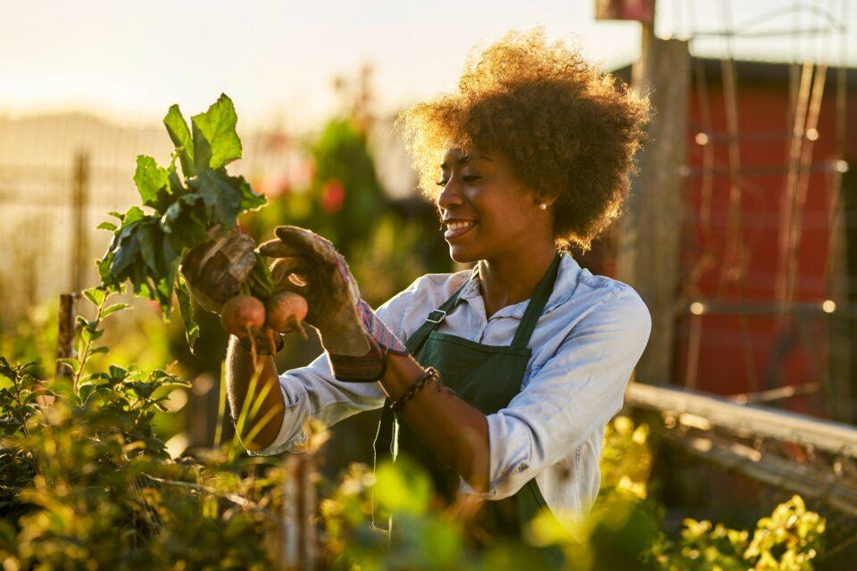 Gardening can improve your mental health