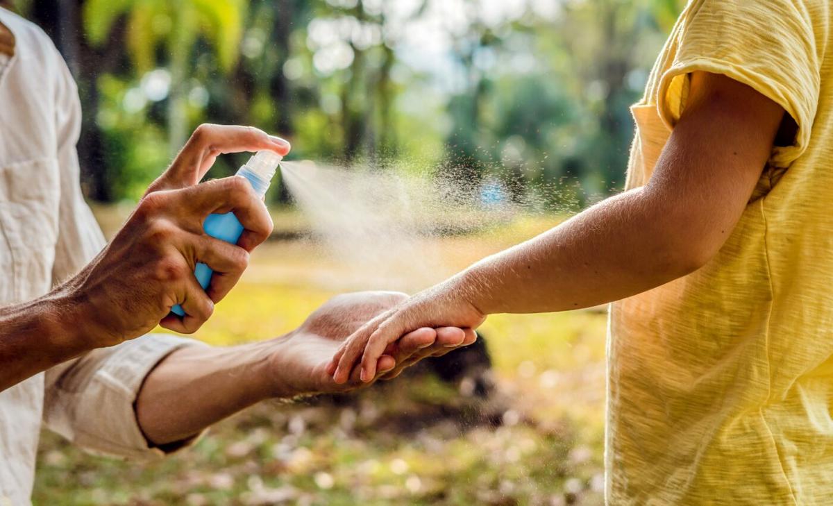 Climate variables can predict future mosquito activity