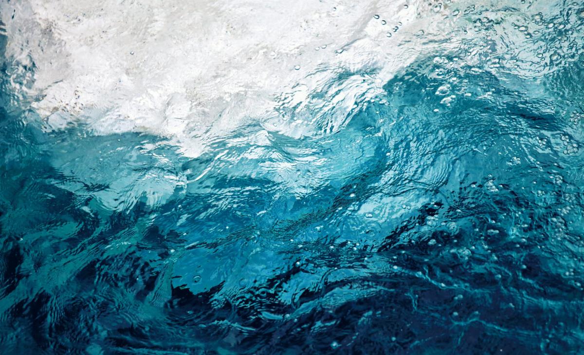 Earth's biological pump may ultimately turn into a source of carbon