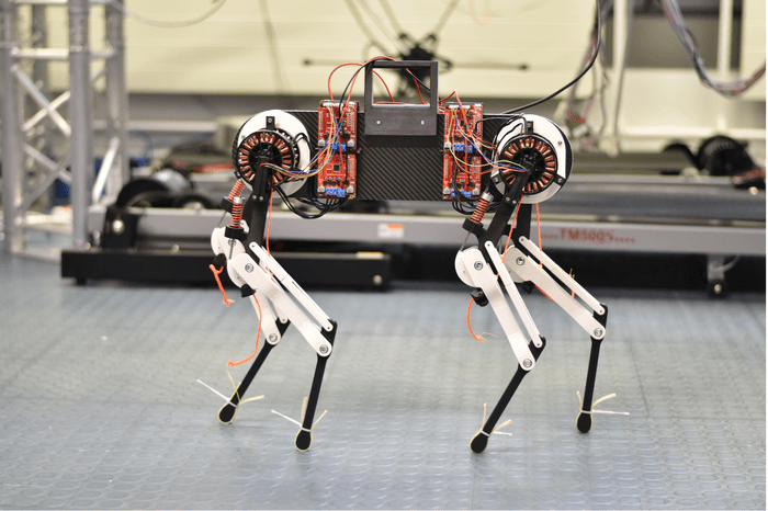 Robot dog sheds new light on how animals learn to walk