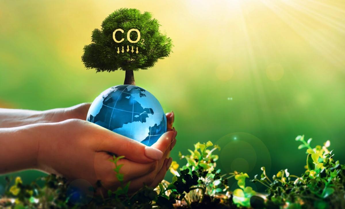 Ten financial actors could change the fate of Earth's climate
