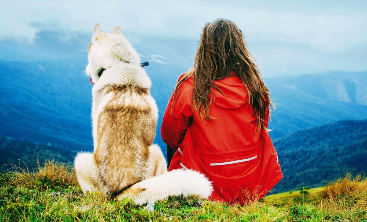 Dogs wag their tails to the right for people they love