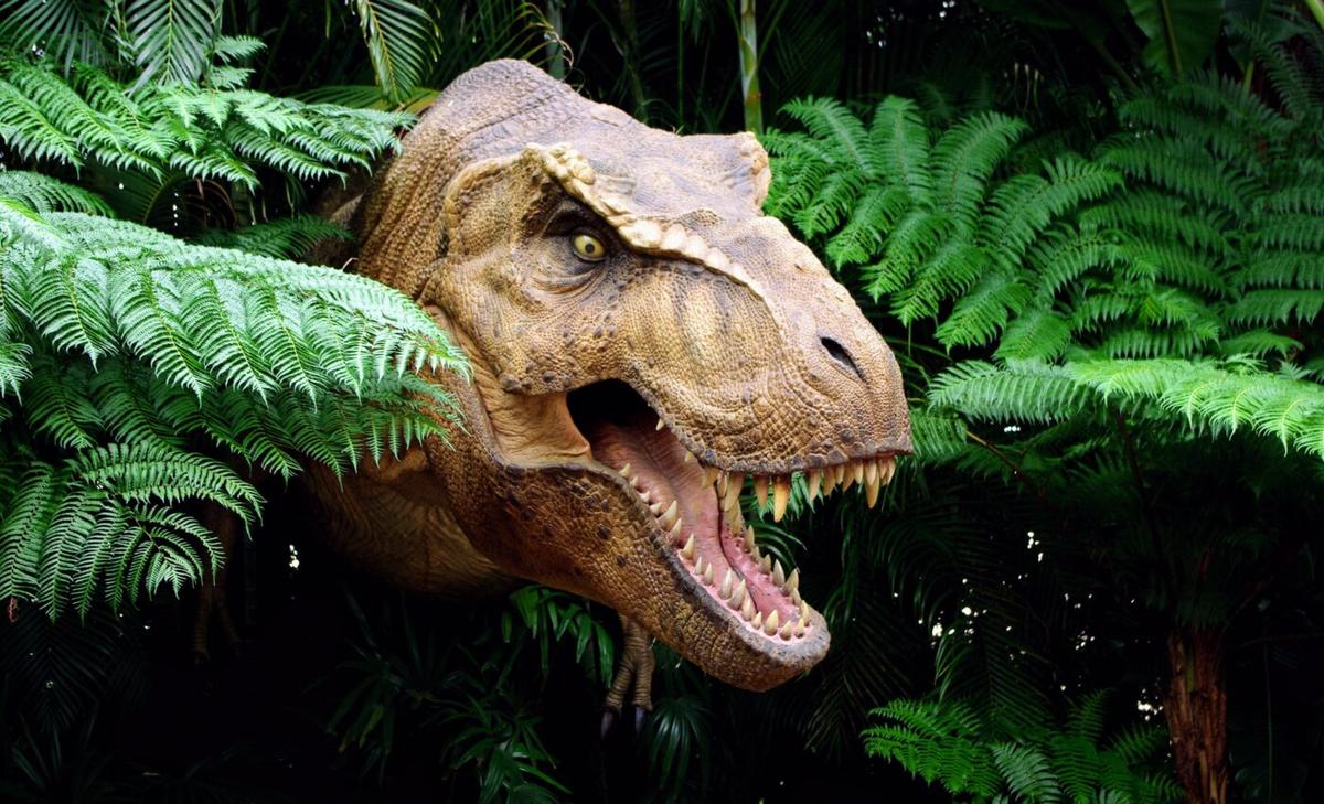 New study refutes the claim that T. rex was multiple species