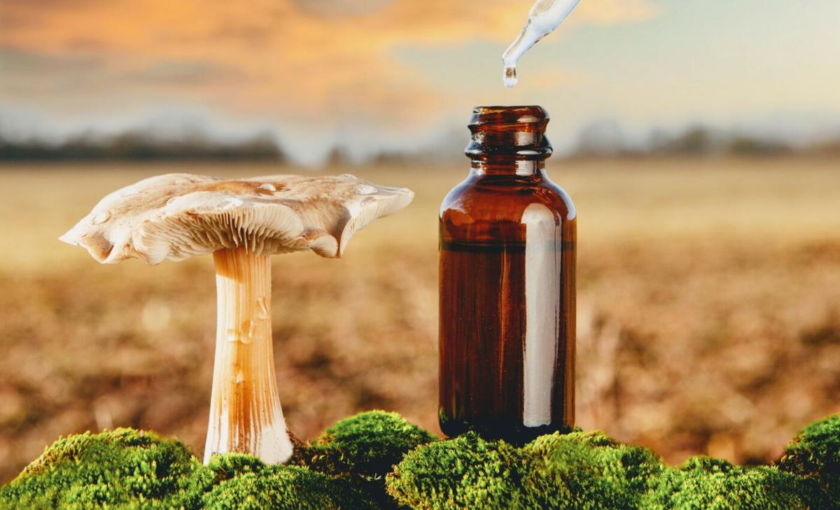 Genetics influence the brain's response to psychedelics