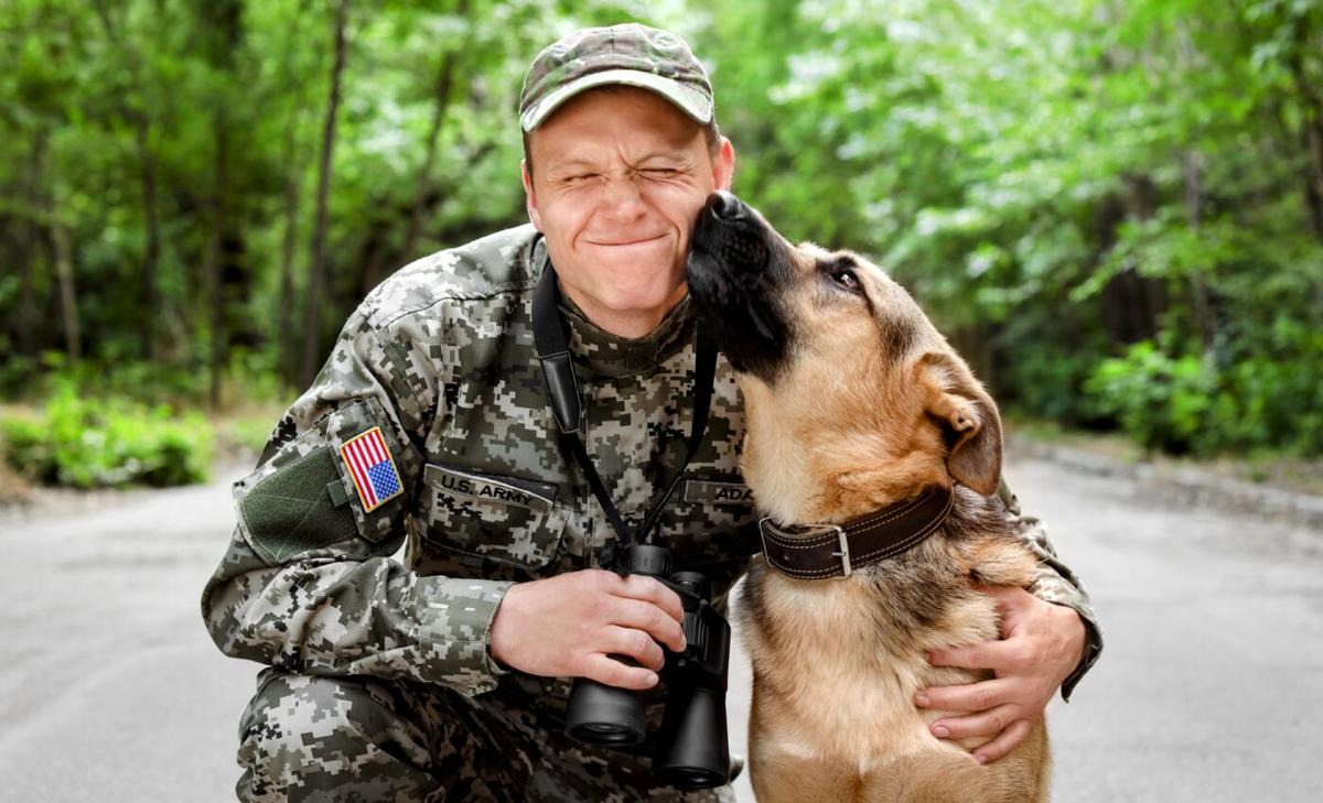 Service dogs reduce symptoms of posttraumatic stress