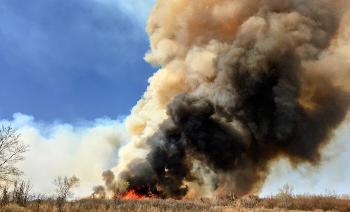 Wildfire smoke impacts Arctic ice thousands of miles away